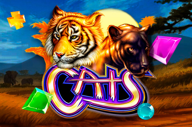 Отличный выбор слотов доступен на сайте Cat Casino