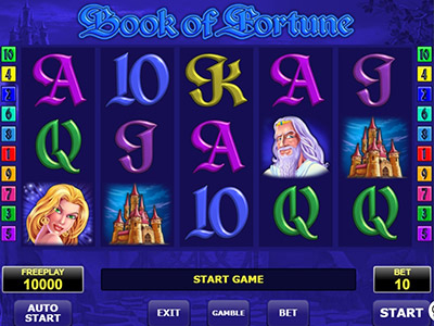 Book Of Fortune pokie screen 2